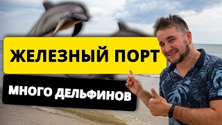 Железный Порт 2021. ПОЛНЫЙ ПЛЯЖ ДЕЛЬФИНОВ. Отдых Море Пляж Жилье