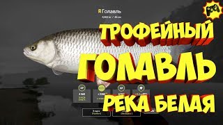 Русская рыбалка 4 Трофейный Голавль река Белая рр4 russian fishing 4 rf4 Алексей Майоров