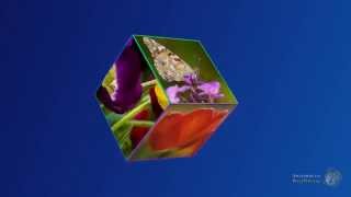 Урок №11-2. 3D Cube. Полные обороты в противоположные стороны