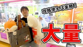 小さいクレーンゲーム禁止！1万円で攻略法使ってPLAYした結果…大量www