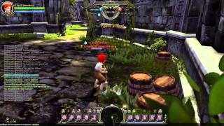 Dragon Nest - Страж VS Страж