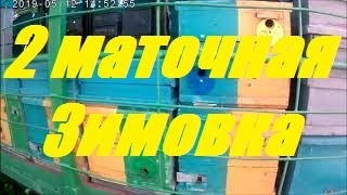 Двух маточная система пчеловождения.Улья корпусные 8 рам.Медовики на Белую акацию.