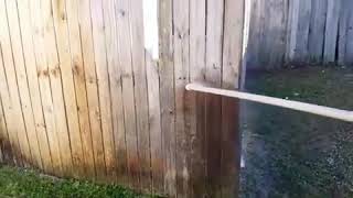 Safe Soft Wash Cleaning Of Wooden Fence  561-907-9541