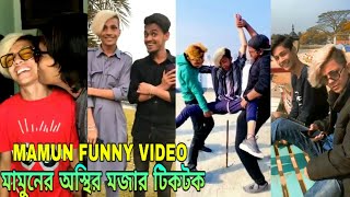 প্রিন্স মামুনের অস্থির মজার ফানি টিকটক | prince mamun tik tok mamun tiktok, prince mamun funny video