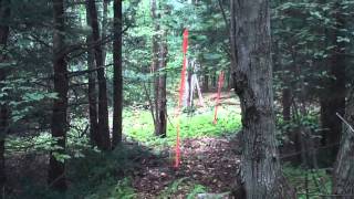 Geokinetics Seismic Testing