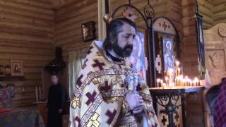 Проповедь протоиерея Михаила Бравермана 02.04.2017 в неделю 5-ю Великого Поста