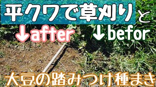 平鍬を使った草刈りと大豆の踏みつけ種蒔き【農業】2019年6月25日natural farming