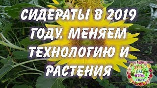 Сидераты в 2019 году. Меняем технологию и растения