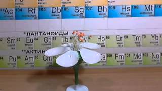 Видео обзор - Модель цветка яблони