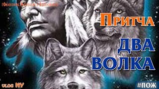 Притча о двух волках. История со смыслом