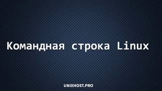 Командная строка Linux | Уроки Linux