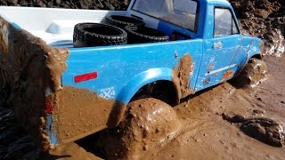 Трофи, месим грязь на Axial SCX10 Honcho и RC4WD Stomper