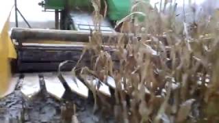 уборка кукурузы по снегу