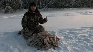 ТАКОЙ КЛЁВ ОКУНЯ БЫВАЕТ ТОЛЬКО 2 ЯНВАРЯ! ЛУЧШАЯ ЗИМНЯЯ РЫБАЛКА 2020! НАРВАЛСЯ НА ГОРБАЧЕЙ!