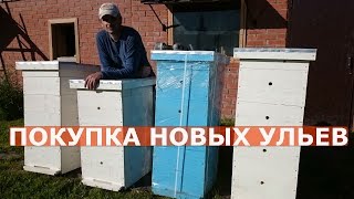 НОВЫЕ УЛЬЯ