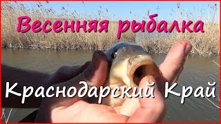 Рыбалка на поплавочную удочку в зарослях камыша