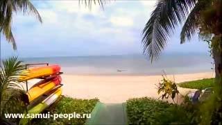 Аренда дома на Самуи. Апартаменты класса "luxary" на Банг По