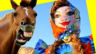 Масленица УКУСИЛА ЛОШАДЬ маме страшно ЧУЧЕЛО МАСЛЕНИЦЫ праздник проводы зимы КАТАЕМСЯ НА ЛОШАДКЕ.