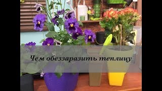 ЧЕМ ОБЕЗЗАРАЗИТЬ ТЕПЛИЦУ? Дачные сезоны Марины Рыкалиной 14.04.18