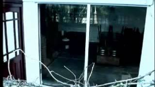 Narcissists - Full documentary
