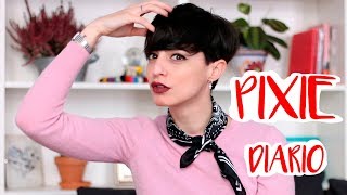 PIXIE PEINADO DIARIO - Zadeth laura