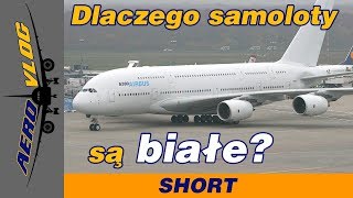 Dlaczego samoloty są w większości białe? Malowanie EUROWHITE - AeroVlog [PL]