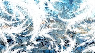 Переходы "Морозные узоры" для слайд-шоу❄️ | ProShow Producer Transitions
