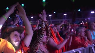 Twiddle | Mamunes The Faun | Jam Cruise 15