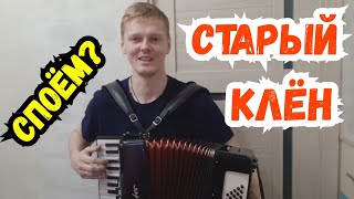 Старый Клён на Аккордеоне | Эту Песню Знают Все | Баянист Аккордеонист