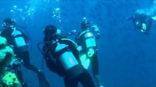 宮崎南郷ディープダイビング。地形も楽しめる宮崎SeaQueen南郷ダイブセンター