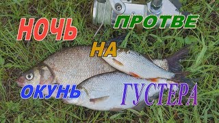 Рыбалка на реке Протва#5.Где и как поймать рыбу.Окунь,густера.Устанавливаю мини лагерь.Жарим рыбу.