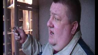 Херсонский клуб голубеводов.Голуби Александра Крюкова ч.(2).