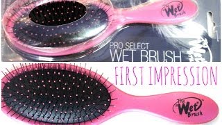 ♥ The Wet Brush- First Impression & Demo on Wet & Dry Hair! ♥