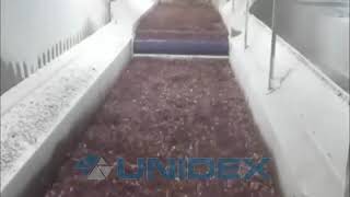 Морозильные туннели IQF