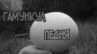 ГОМУНКУЛ ИЗ ЯЙЦА (ПРЕМЬЕРА)