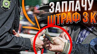 Пассажиры яндекс такси и Таксист штраф/ Тихон Таксист