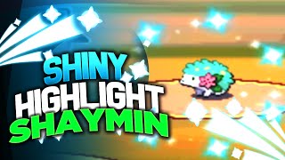SHINY SHAYMIN HIGHLIGHT! - 7,566 RUNAWAY SR'S FOR SHINY SHAYMIN - Pokemon FULL ODDS SHINY