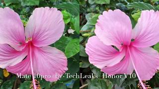 Huawei Honor V10 vs Huawei Mate 10 Pro SteadyShots