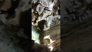 Abîme de Bramabiau (France) 6