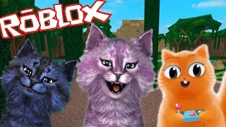 РОБЛОКС ЧЕЛЛЕНДЖ с ДЖЕМОМ И ЛЕО roblox Epic Minigames говорящая КОШКА ЛАНА играет