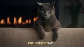 Реклама Sheba.  Ты не устоишь перед котом или Чего хотят кошки