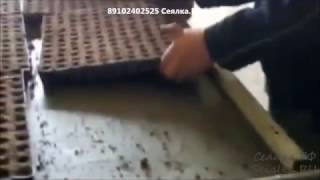 сеялка в кассеты, процесс, механизация