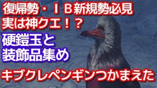 隠れた神クエ　キブクレペンギンつかまえた！装飾品と硬鎧玉集め！３０秒で周回可能　復帰・新規勢にオススメ　ＭＨＷＩＢモンハンワールドアイスボーン