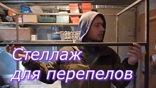 Стеллаж для клеток перепелов своими руками / Размеры / Изготовление