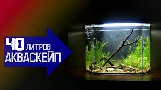 Природный аквариум с камнями и корягой