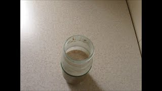 Бездрожжевая закваска (ржаная)