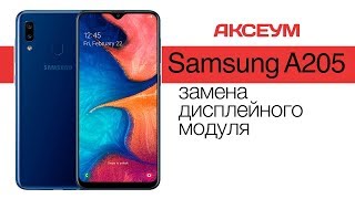 Замена экрана на ? Samsung Galaxy A20 2019 (A205) - пошаговый разбор \ Replacement LCD Screen