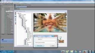 Plugin Review: Adorage vol 2 ProDAD Sony vegas