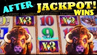 AFTER JACKPOT WINS! Buffalo Gold slot machine BONUS WINS! (Wonder 4 Wonder Wheel)