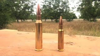 338 LAPUA VS 308 savage ba110